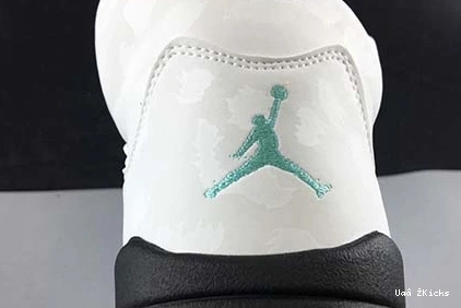 AIR ISLAND 5 GREEN Versatile JORDAN 594 CN2932-100 1005